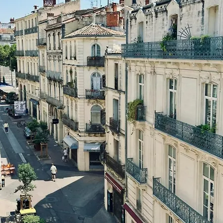 T2 Cosy - Centre Historique - Rue Saint Guilhem *